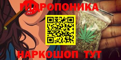 a pvp Аргун