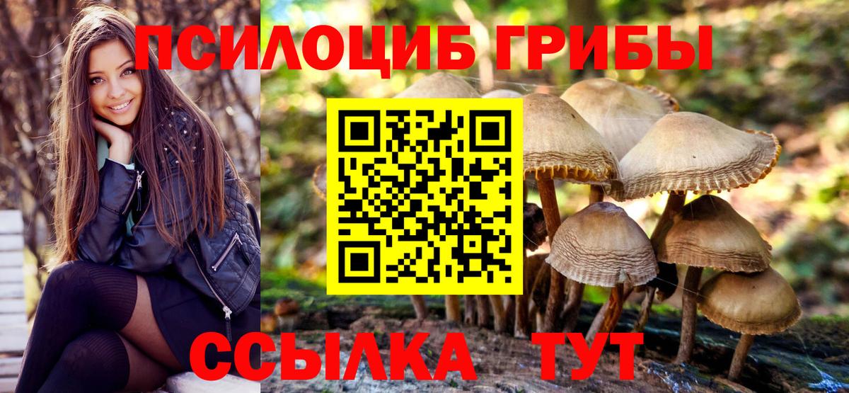 Псилоцибиновые грибы Psilocybine cubensis  Вход с VPN  Беслан 