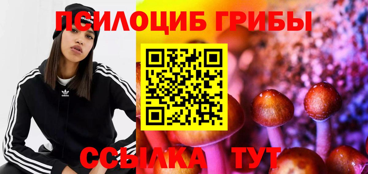 Псилоцибиновые грибы GOLDEN TEACHER Беслан